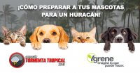 ¡Cómo preparar a tus mascotas para un huracán!